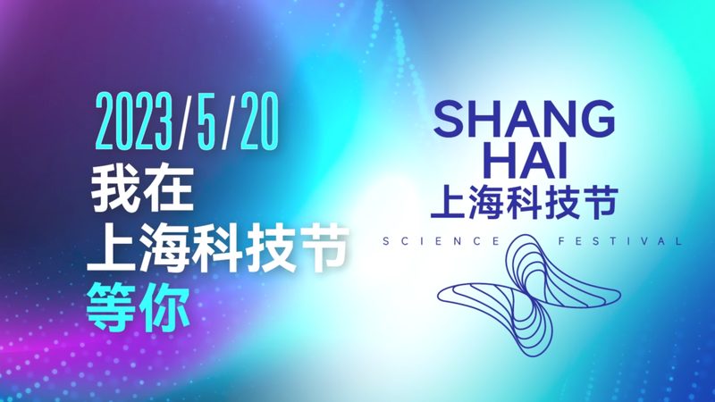 轻量级AI应用工具：如何选择适合你的解决方案